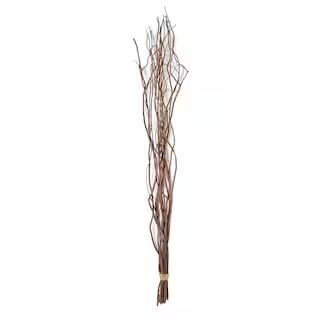 Natural Tall Curly Willow by Ashland® | Michaels Stores