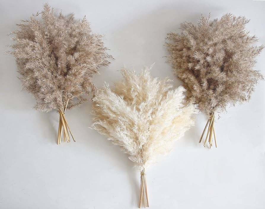 30 PCS Boho Decor, Fluffy Pompas Grass, Natural Dry Pampas Grass Small, Short Pampass Bulk for Bo... | Amazon (US)