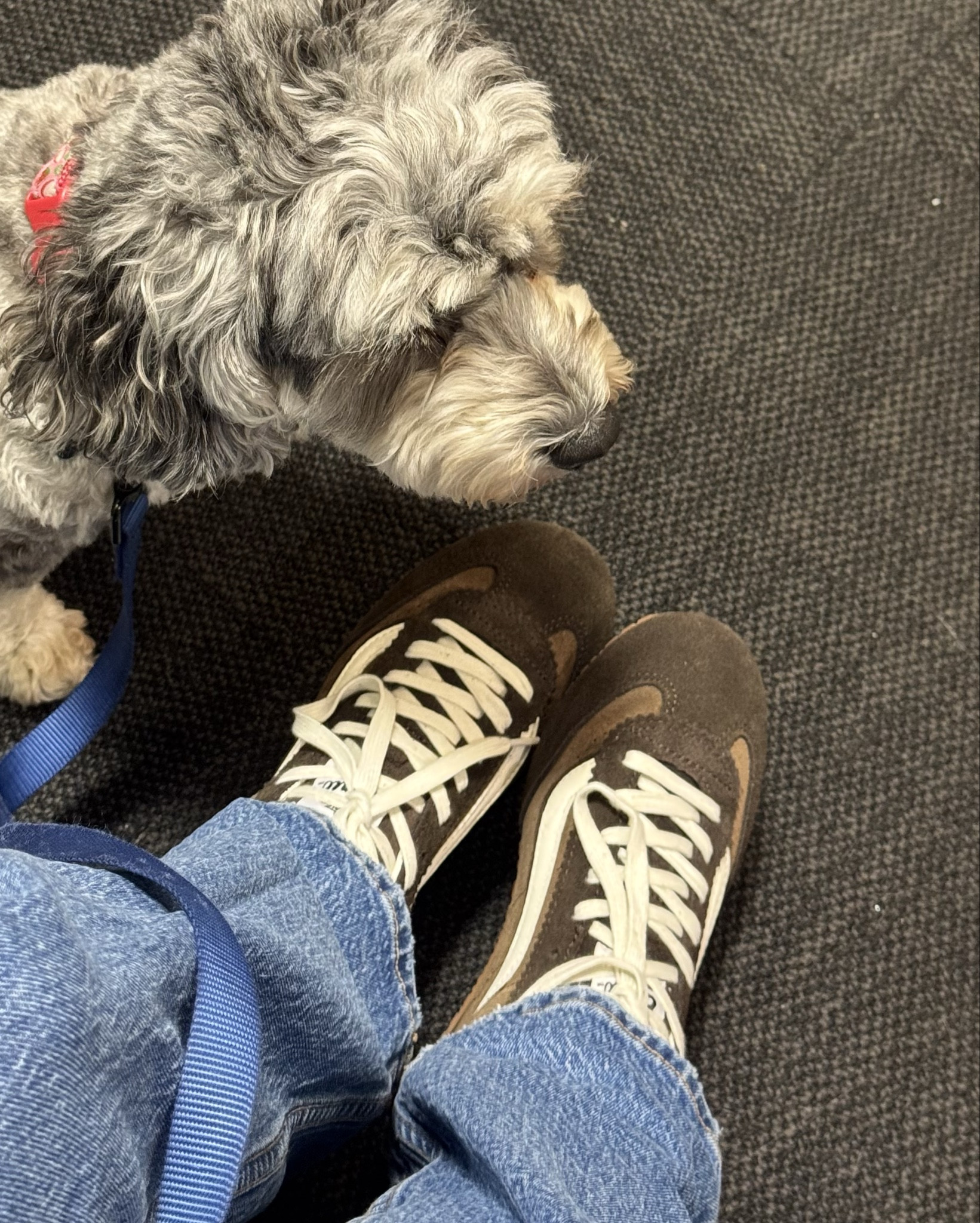 If I were to buy any casual flat shoe, it’s gonna be these. #casualwear


#LTKU