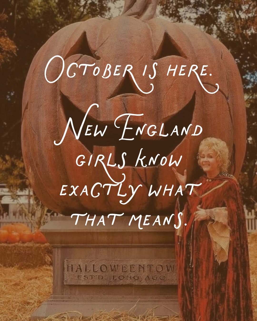 shop everything that feels like october to me 🍂🎃🧹

october in new england is a different animal and if you grew up here you already know it. every month has a mood. october is the one that got its hooks in the deepest.

it's the only month that asks you to believe something. not decorate. believe.

thirty one nights of fall in new england. make every one of them an occasion.

shop: vintage halloween decor, witchy home decor, light up halloween village houses, cauldron candle, witch hat garland, illuminated vine broom, crystal ball decor, halloween spell book box, halloween wreath, cozy halloween mug, halloween light up bats, cozy fall home, new england fall decor 

 #halloweendecor #newenglandfall #cozyhalloween #falldecor #witchydecor