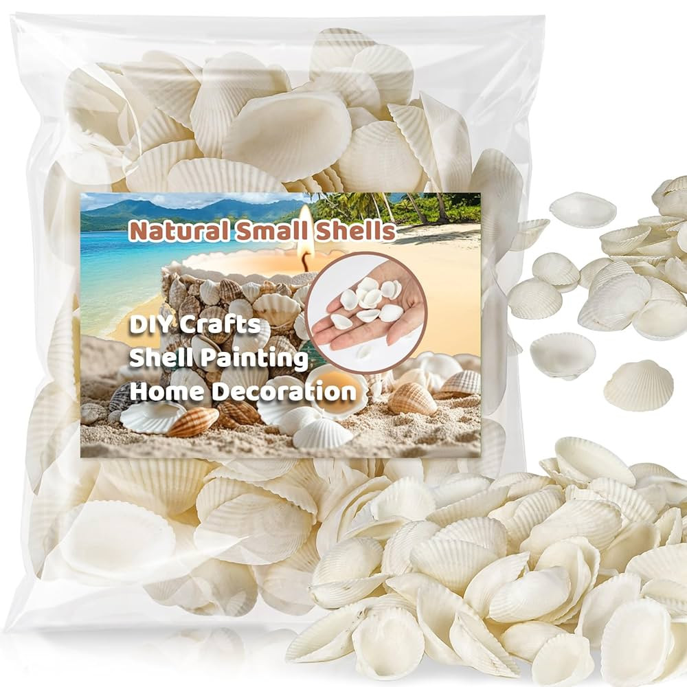 90 PCS White Sea Shells - 0.8-1.2 in Small Clam Shells for Crafts Tiny SeaShells Bulk for Decorat... | Amazon (US)