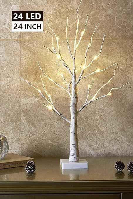 EAMBRITE 2FT 24LT Warm White LED Battery Operated Birch Tree Light Tabletop Tree Light Jewelry Ho... | Amazon (US)