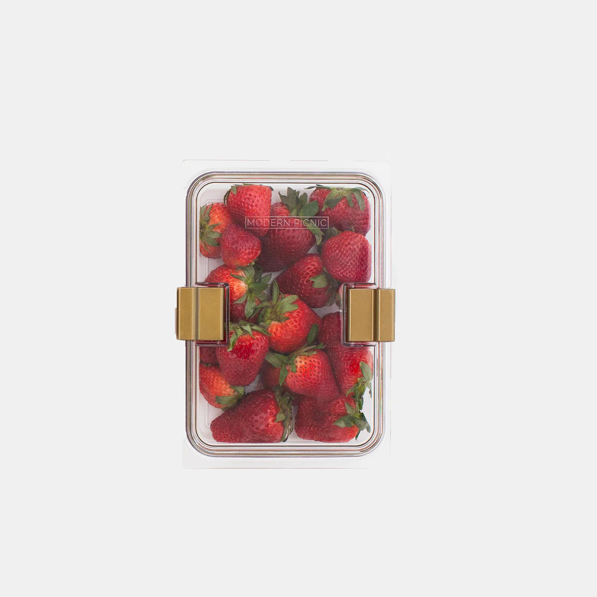 THE FOOD CONTAINER | Modern Picnic