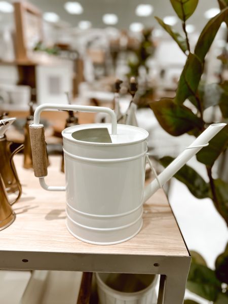 Garden watering can from Target— indoors or outdoors! You could also plant an herb inside this to grow. 🪴

#LTKFind #LTKhome #LTKSeasonal