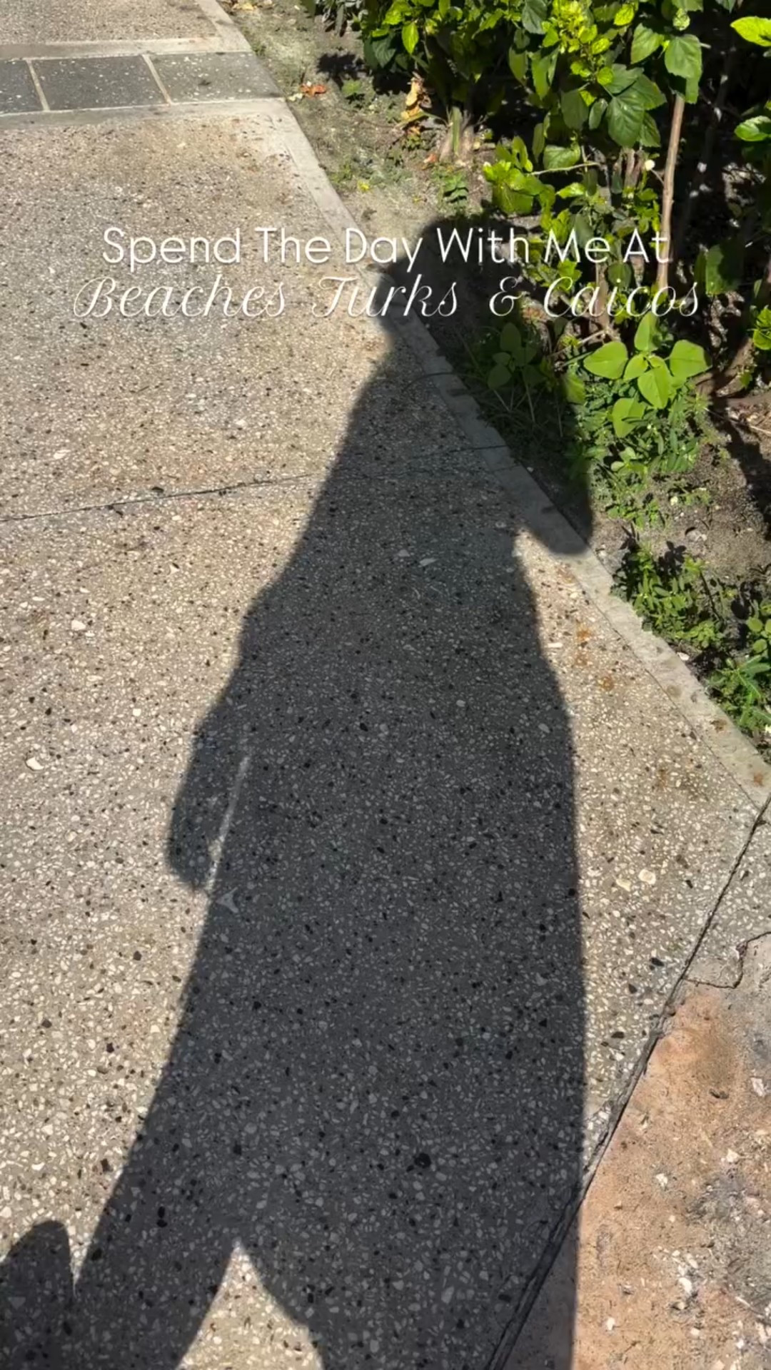 Wednesday at Beaches Turks and Caicos! We split up for breakfast at Giuseppe’s and Café de Paris, and then not seen here. We headed to the beach for a full morning hanging out there for lunch. We visited the loyalty lunch for those people who have visited beaches or sandals before you gifted a bottle of Jamaican rum to take home with you after lunch. We spent time at the pool and we made our way up to the waterpark then it was time to get ready for dinner and we stopped at the bar in the Italian village to get a pre-dinner cocktail while we headed to the Sesame Street show for the night. After the Sesame Street show, we went to Mario’s for lunch and had some really fantastic Italian food and then went up towards the French village where there was a dance party going on and we got a little ice cream to finish the night.

We have so much fun at Beaches Turks and Caicos. if you’re interested in learning more about some of the amenities or booking, be sure to message me!

#summervacay #summervacation #beachesturksandcaicos #allinclusiveresort #beachvacay #familyvacay #familyvacation #midsizestyle