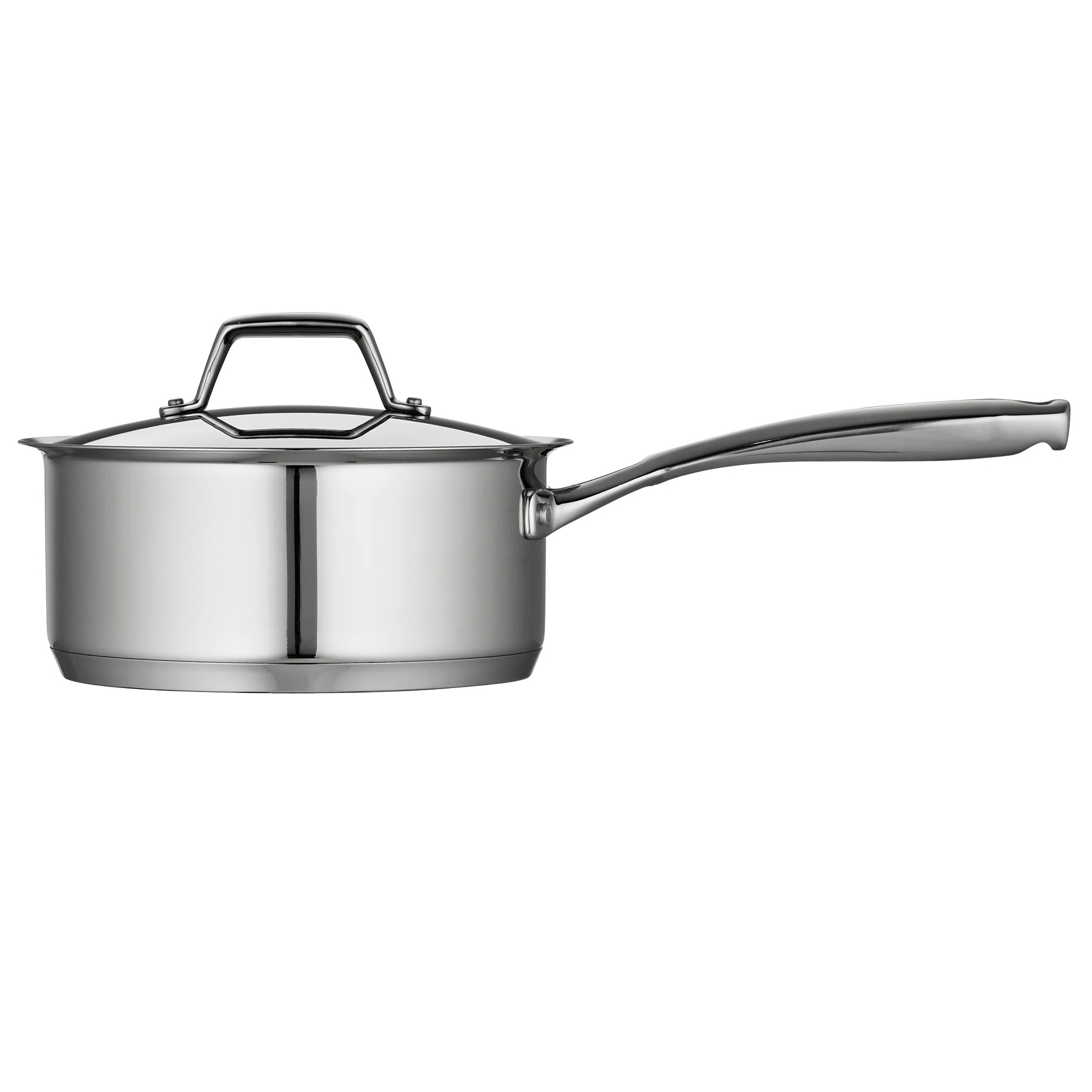 Tramontina Gourmet Prima Saucepan with Lid & Reviews | Wayfair | Wayfair North America