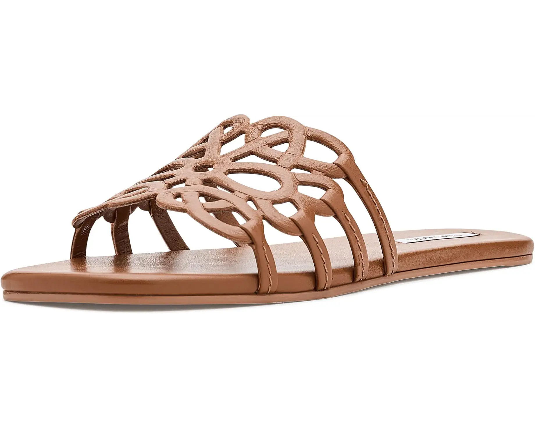 Women's Steve Madden Lotus | Zappos