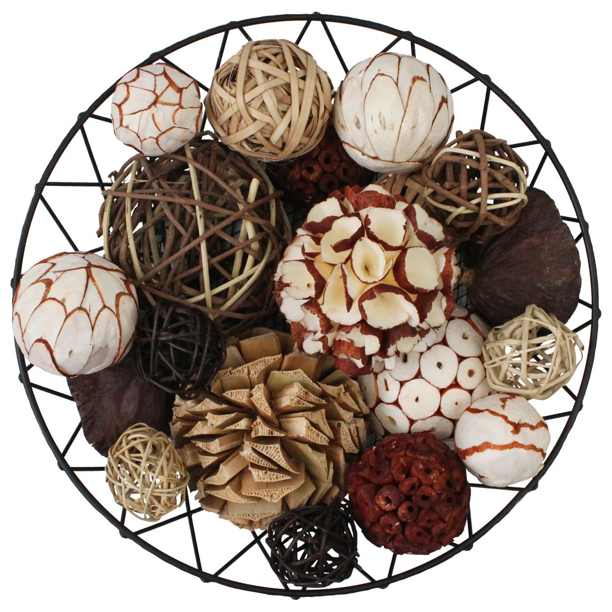 Schaal Landscape & Nature Vase Filler | Wayfair North America