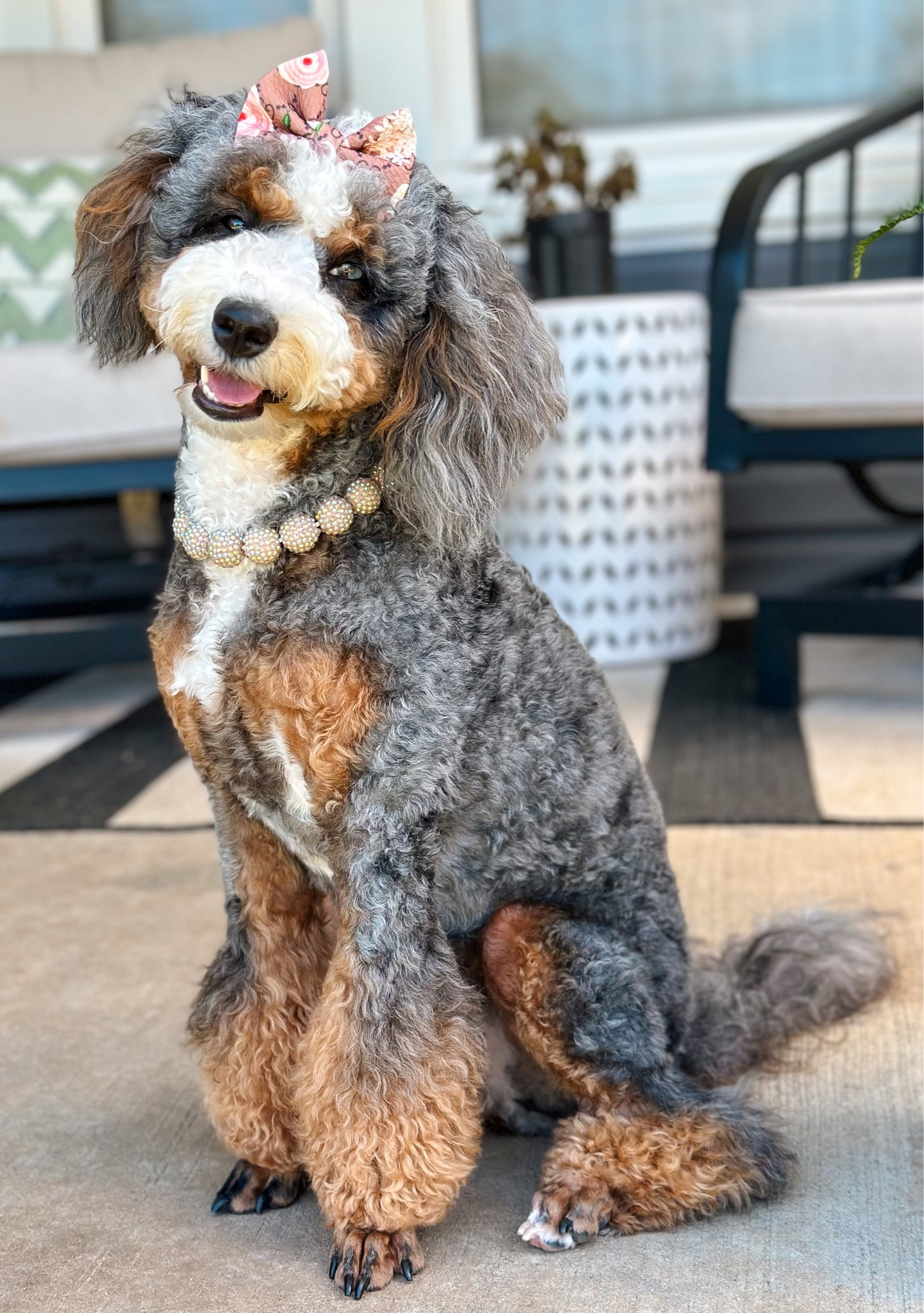 Only Romy can pull off the poodle cut 🐩

#LTKSeasonal #LTKfindsunder50 #LTKfamily