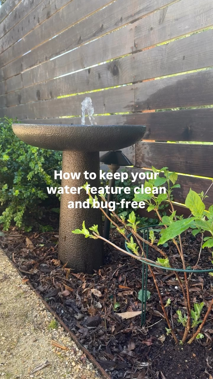 If you’re dealing with a dirty water feature, algae buildup, or mosquitoes in your fountain or bird bath, this is what actually works.

Most people don’t realize stagnant water is exactly what attracts mosquito larvae and buildup - so cleaning alone won’t fix the problem.

This simple setup keeps your outdoor water feature clean, clear, and mosquito-free:

• Copper disk → helps reduce algae and keeps water cleaner naturally
• Mosquito dunks (BTI) → kill mosquito larvae before they hatch
• Water circulation → prevents stagnant water and bug buildup

This is the easiest way to maintain a low-maintenance, bug-free fountain or bird bath without constant scrubbing.

Save this for your spring garden prep, patio refresh, or backyard setup 

Comment SHOP and I’ll send you the exact products I used.