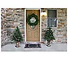 Fraser Hill Farm Set of Two 4-Foot Noble Fir Li t Trees - QVC.com | QVC
