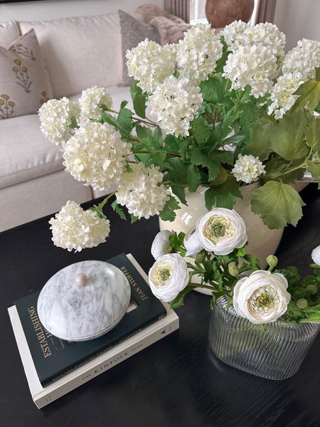 Shop my new Spring stems! Spring decor /living room decor/ coffee table styling /spring 

#LTKSeasonal #LTKhome #LTKunder50