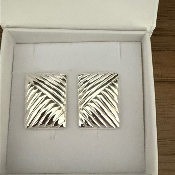 Heaven Mayhem Lined Silver Earrings | Poshmark