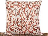 Fall Ikat Throw Pillow Cover Rust Paprika Beige Autumn Decorative Repurposed 16x16 | Amazon (US)