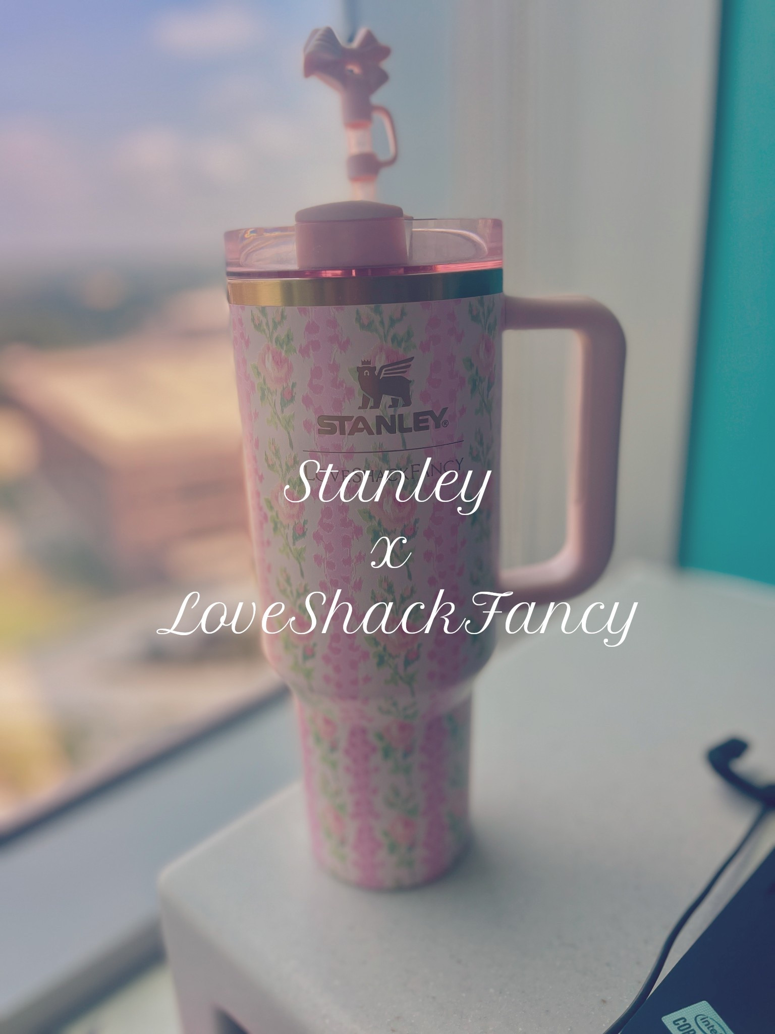 RUN! Stanley & LoveShackFancy tumblers & coolers

#LTKFindsUnder100 #LTKStyleTip #LTKSeasonal