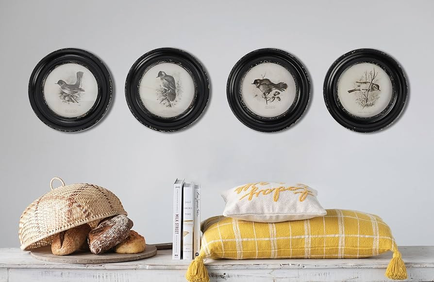 Creative Co-Op Round Wood Framed Bird Prints, Black and Ivory, Set of 4 | Amazon (US)