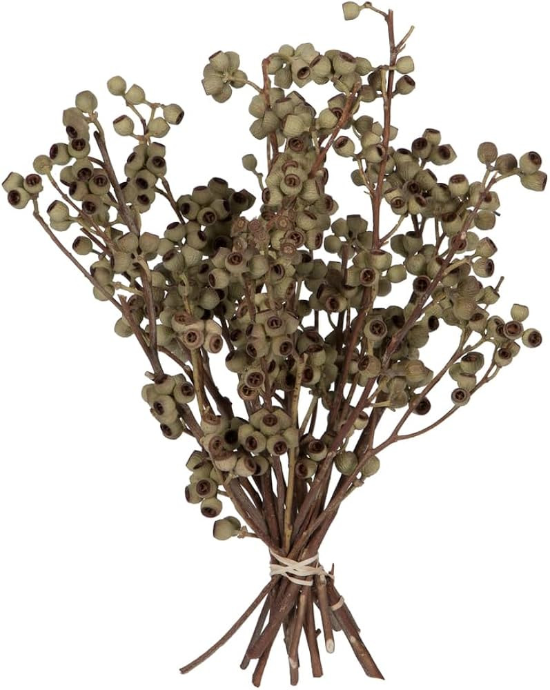 Vickerman Natural Botanicals 14" x 1-3" Natural Ambernut Branch | Amazon (US)