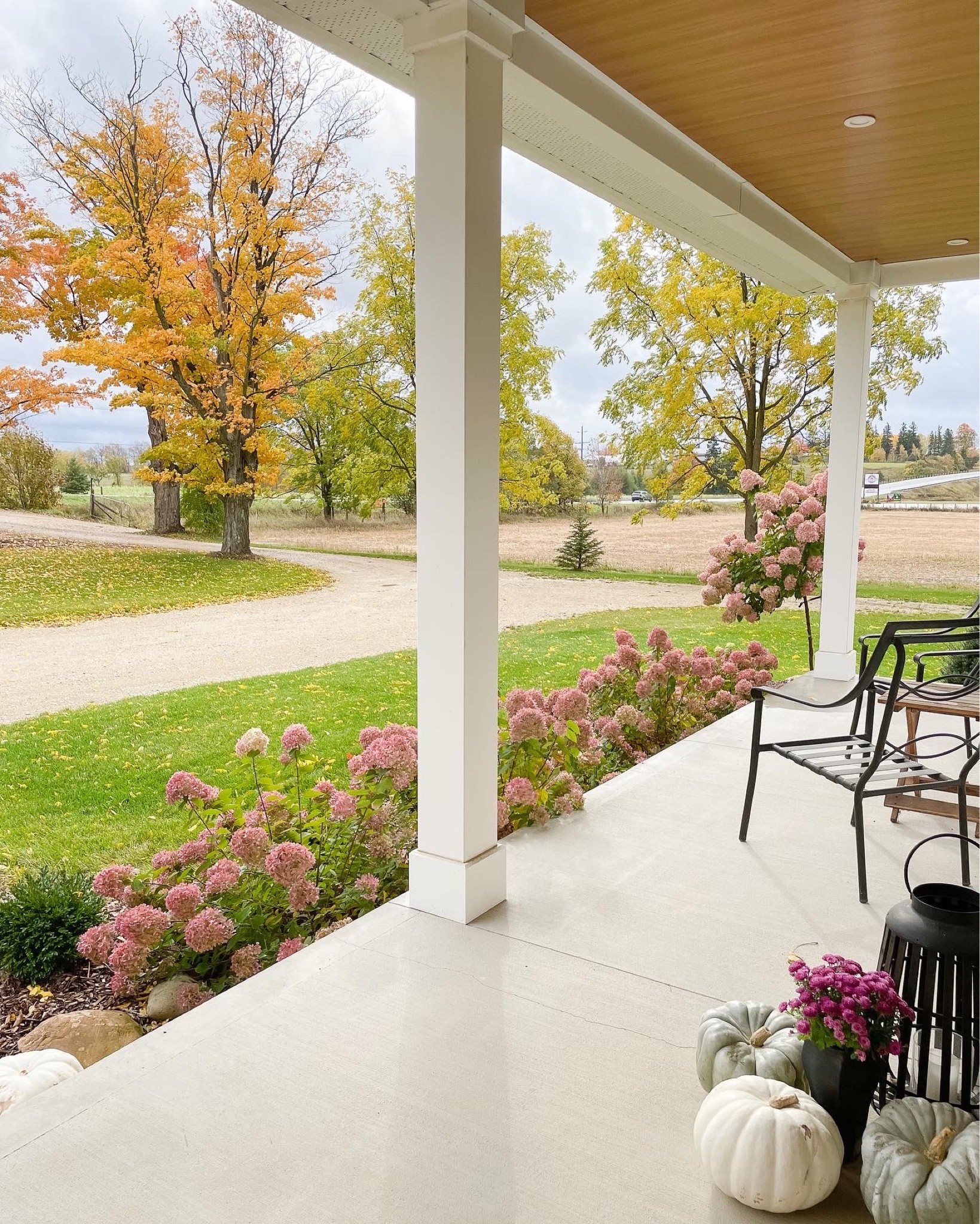 Fall Porch Decor 

#LTKSeasonal #LTKHoliday #LTKhome