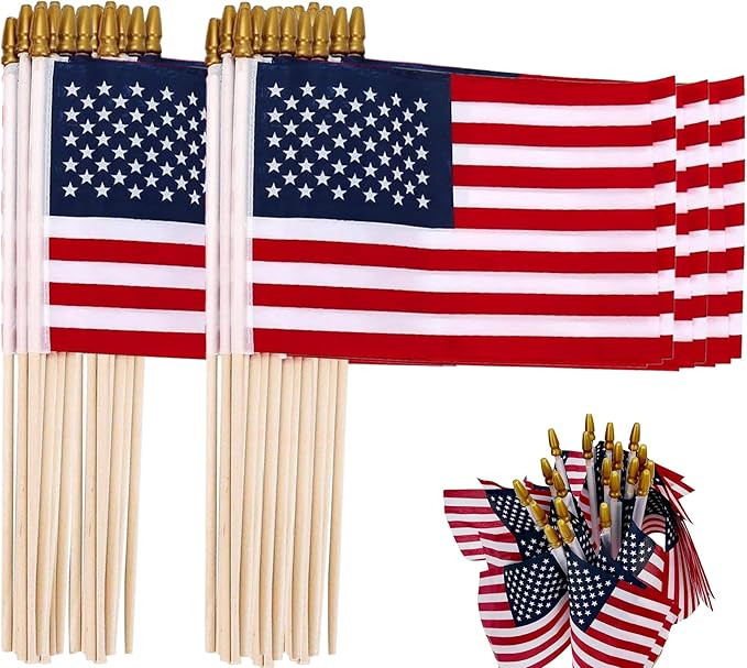 12 Packs 8x12 Inch Small American Flags on Stick, USA Wood Stick Flags with Kid-safe Spear Top, A... | Amazon (US)