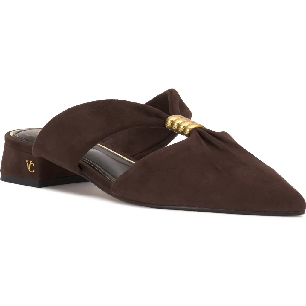 Vince Camuto Vanika Pointed Toe Mule in Brownie at Nordstrom, Size 7 | Nordstrom