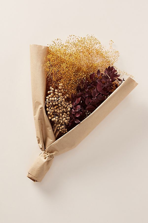 Dried Canella Berry Bouquet | Anthropologie (US)