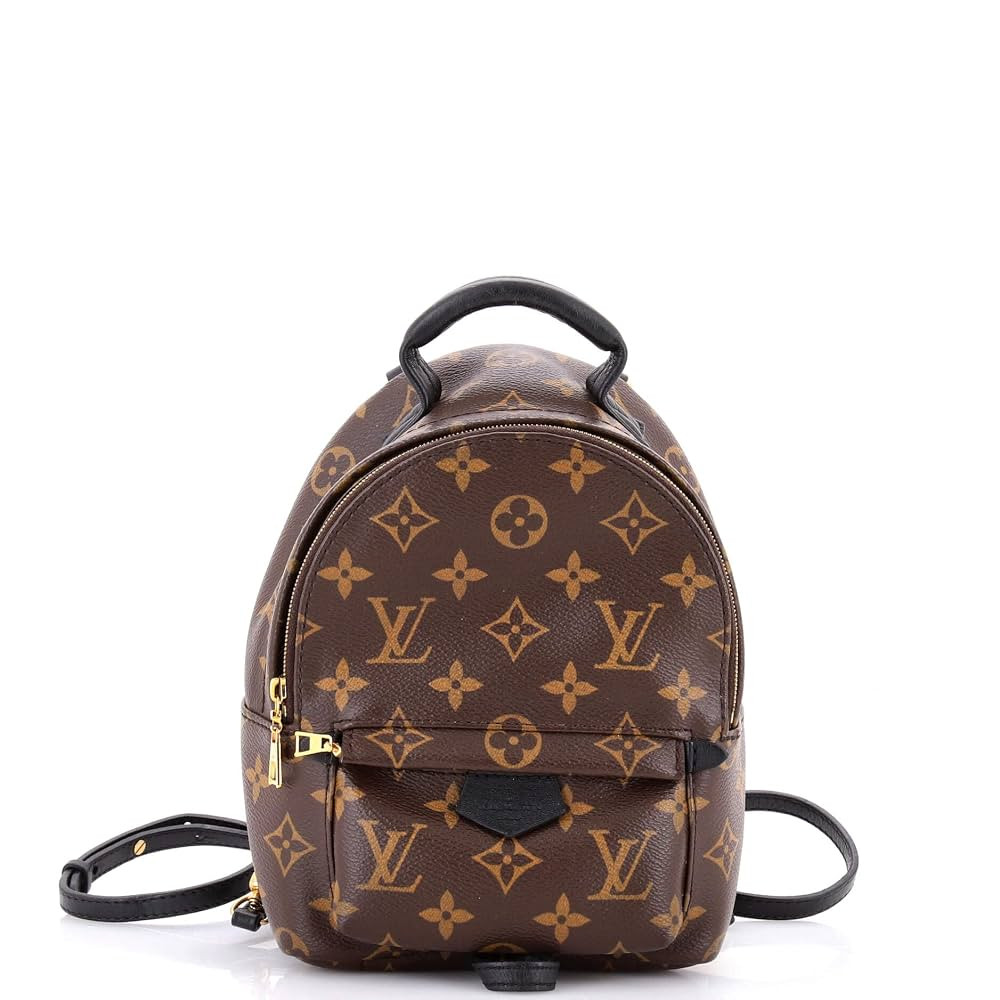 Amazon.com: Louis Vuitton, Pre-Loved Palm Springs Backpack Monogram Canvas Mini, Brown : Luxury S... | Amazon (US)