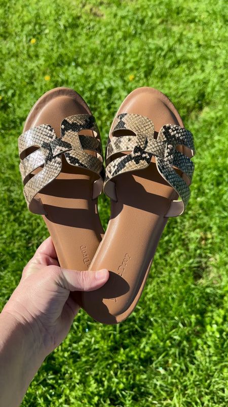 My favorite comfortable  neutral slides! These snakeskin print sandals are an everyday choice for me—they go with almost anything.🥰 If snakeskin print is not your thing—they have 23 other colors to choose from!

Perfect summer shoes for the beach, shopping, the pool or even just around the house.

Amazon finds
Summer shoes
Travel Slides

#LTKSeasonal #LTKshoecrush #LTKstyletip