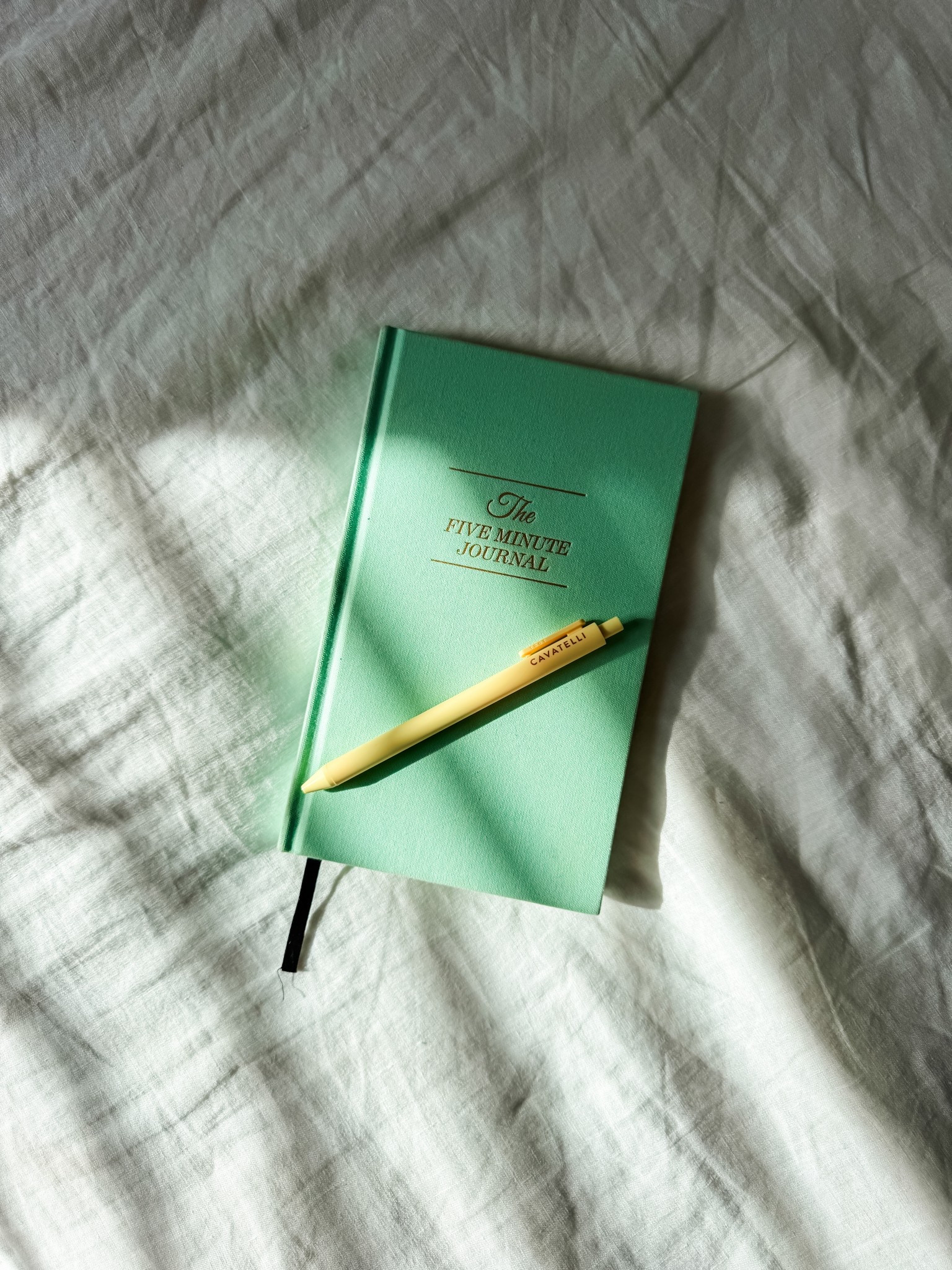 gratitude journal every morning and night. great gift for someone who wants to start the new year on a positive note. 

#LTKGiftGuide #LTKmorningroutine #LTKdayinmylife