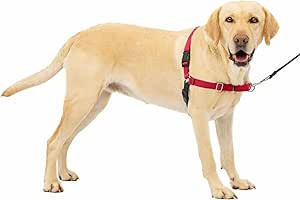 PetSafe Easy Walk No-Pull Dog Harness - The Ultimate Harness to Help Stop Pulling - Take Control ... | Amazon (US)