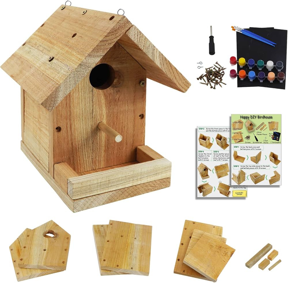 DIY Birdhouse Kit with Paint Set - Kids' Wood Craft Kits - Make a Bird House Kit for Kids - DIY W... | Amazon (US)