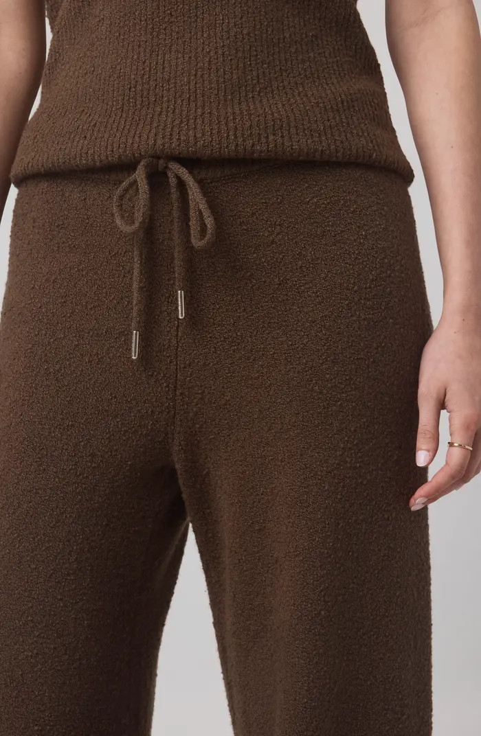 x @cellajaneblog Bouclé Sweat Pants | Nordstrom