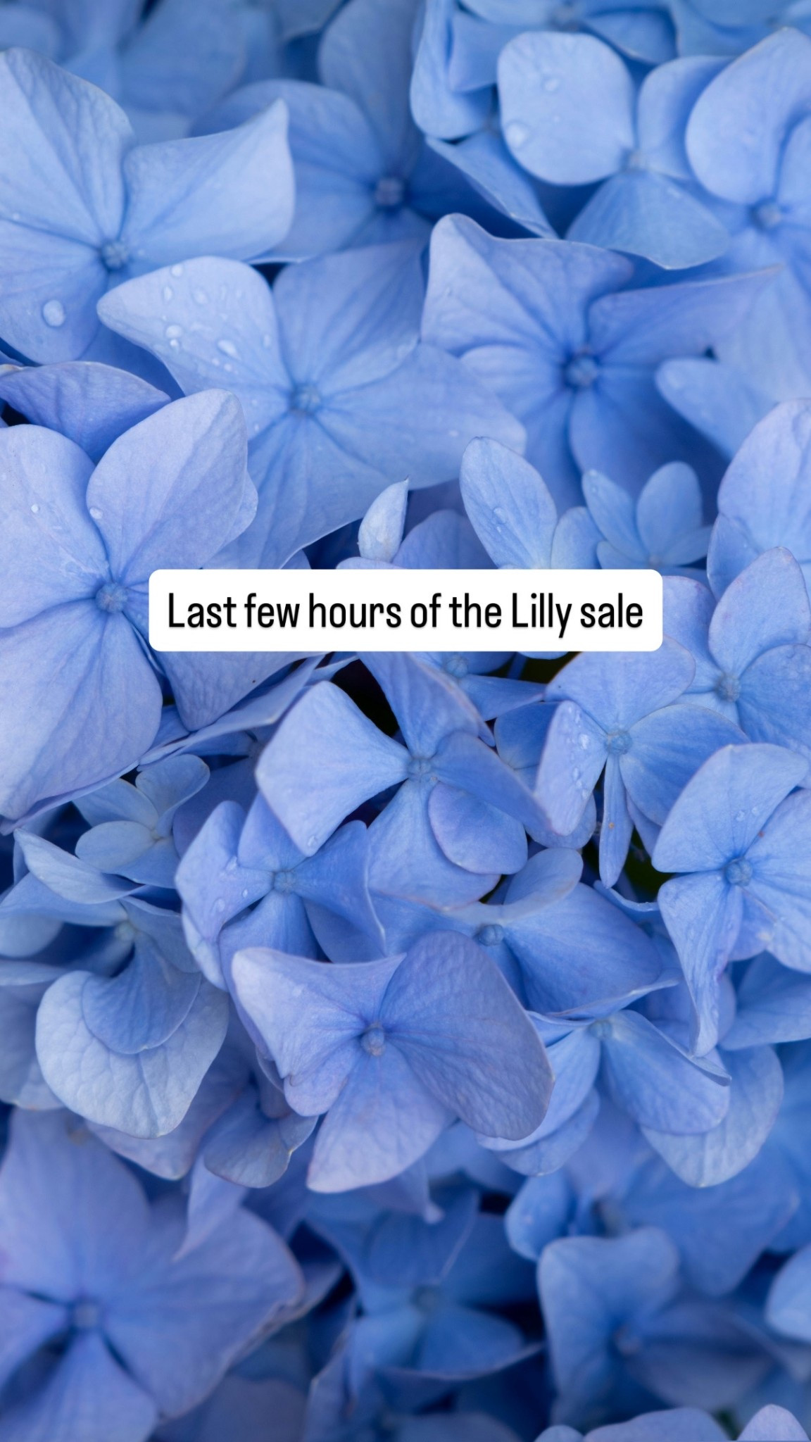 Where I’m shopping, free shipping here:

#LTKFindsUnder100 #LTKSaleAlert