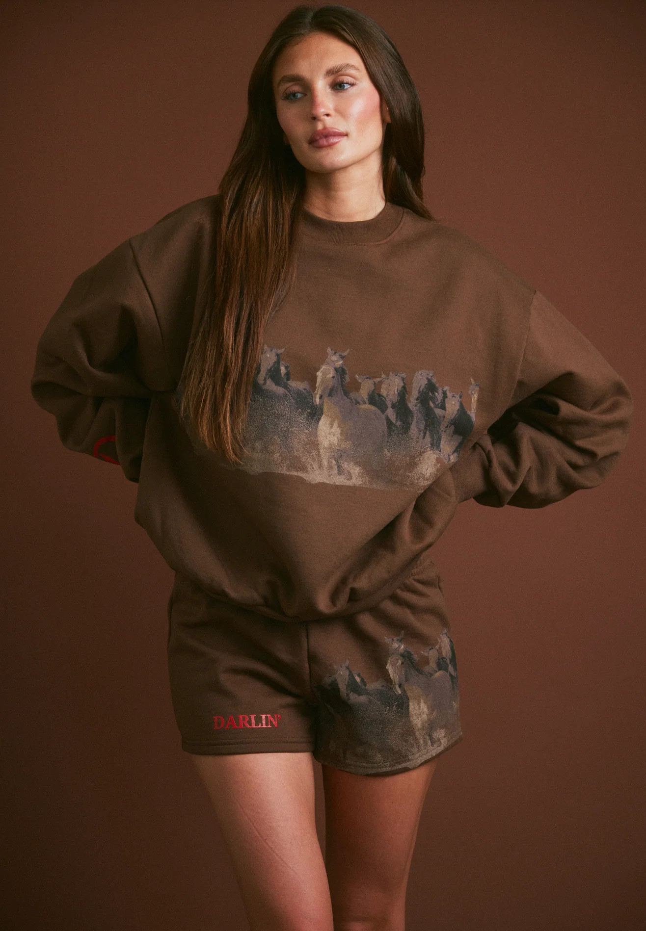 WILD HORSE Crewneck - Tobacco | Darlin'