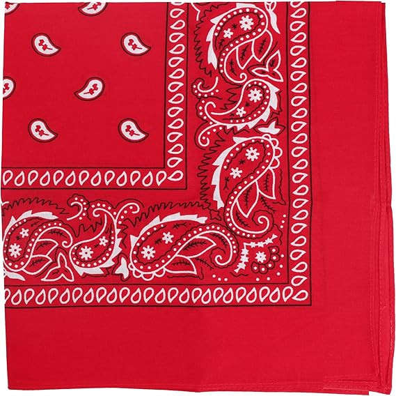 Motique Accessories 22 Inch Cotton Paisley Bandana | Amazon (US)
