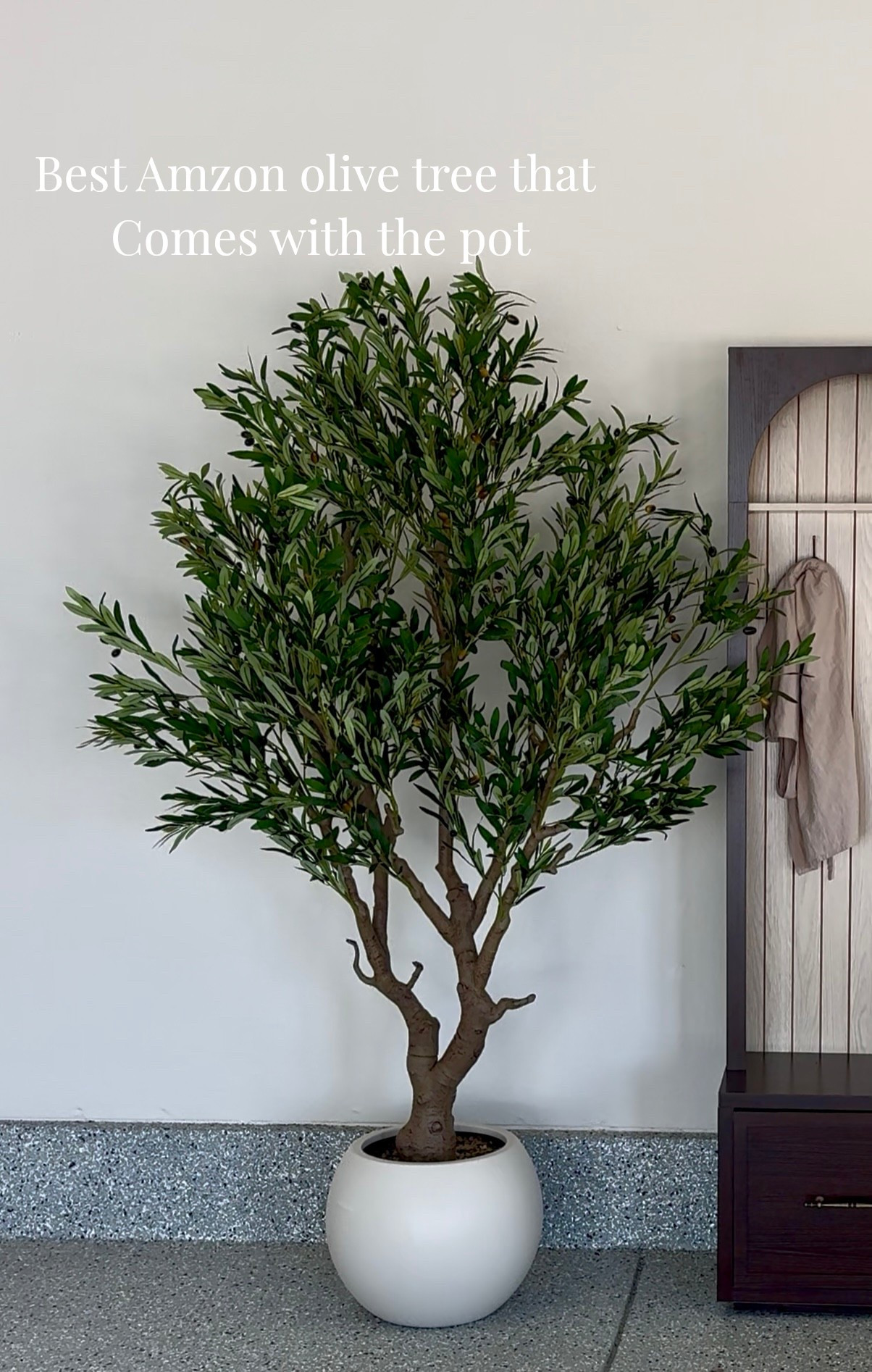 Best full Amazon olive tree that comes with the pot! Designer look for less 

#LTKHome