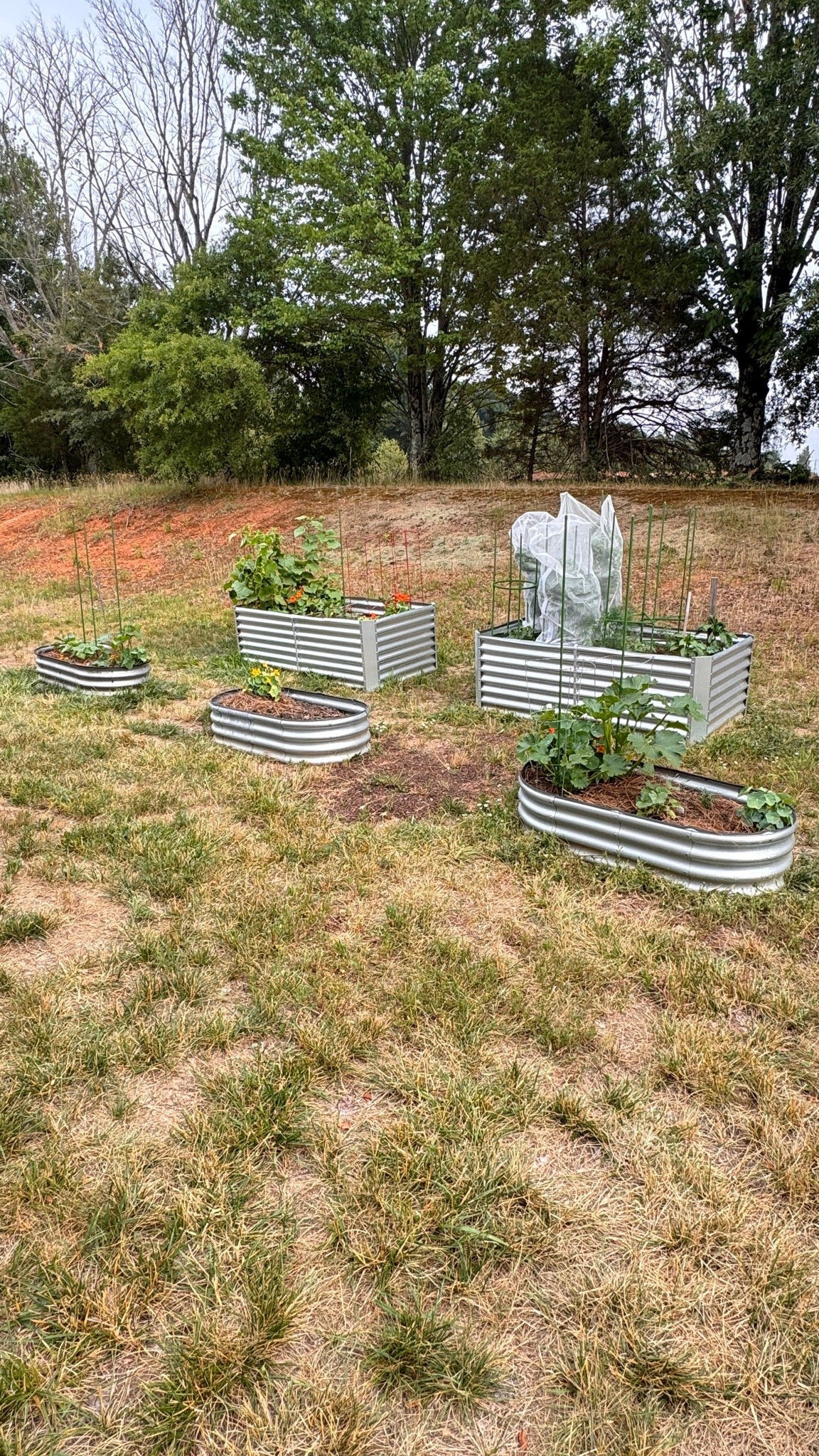 The garden is growing beautifully. Here’s what I’ve used.

#LTKSeasonal #LTKHome