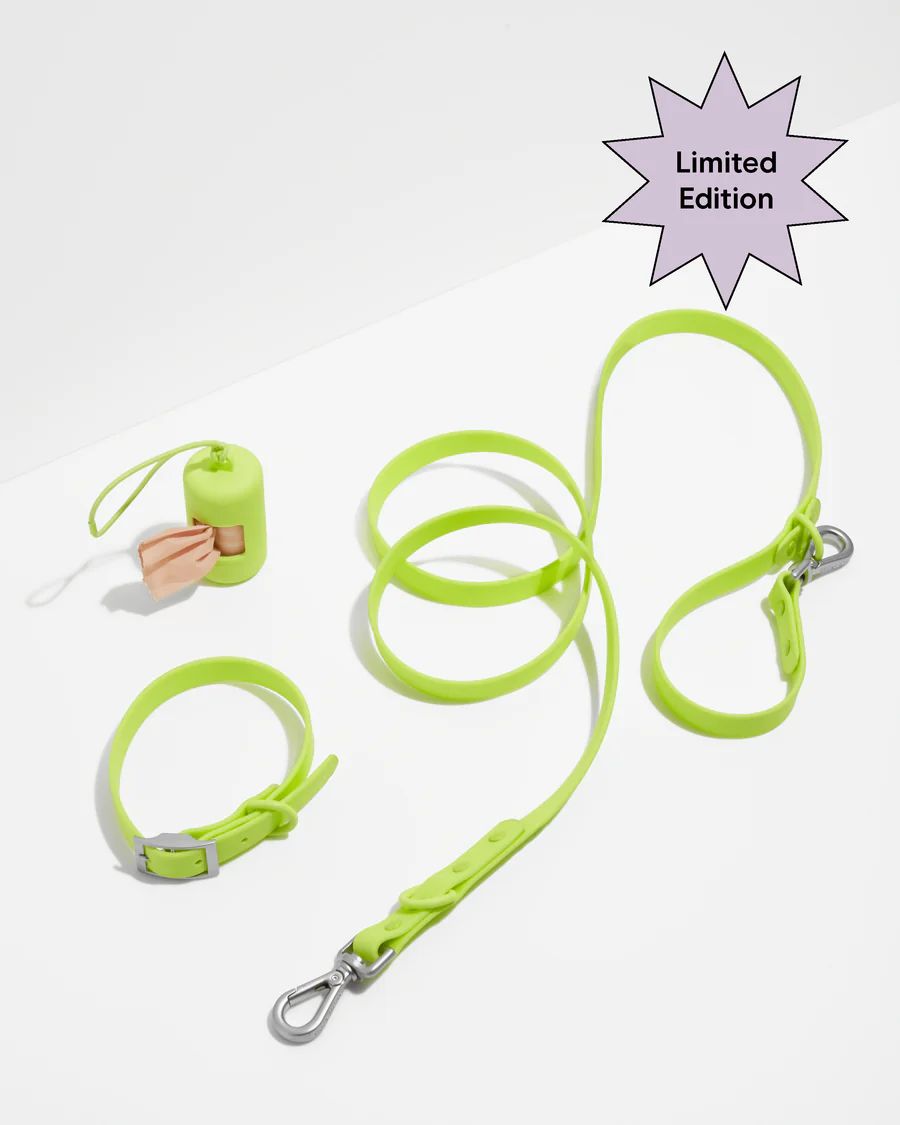 Collar Walk Kit | Dog Collar & Leash Set | Wild One | Wild One