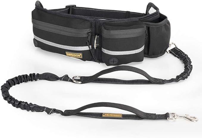 Hands Free Dog Leash, Dog Walking and Training Belt with Shock Absorbing Bungee Leash for up to 1... | Amazon (US)