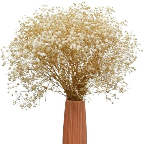 TooGet White Dried Flowers Dried Babys Breath Flowrs Bouquet Natural Gypsophila Branches for Home... | Amazon (US)