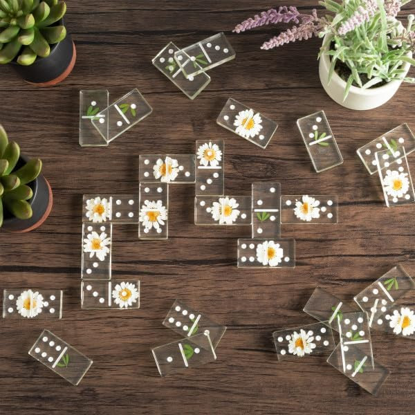 Acrylic Dominos Set - 28-Piece Domino Game with Display Box - Strategy Game and Tabletop Decorati... | Amazon (US)