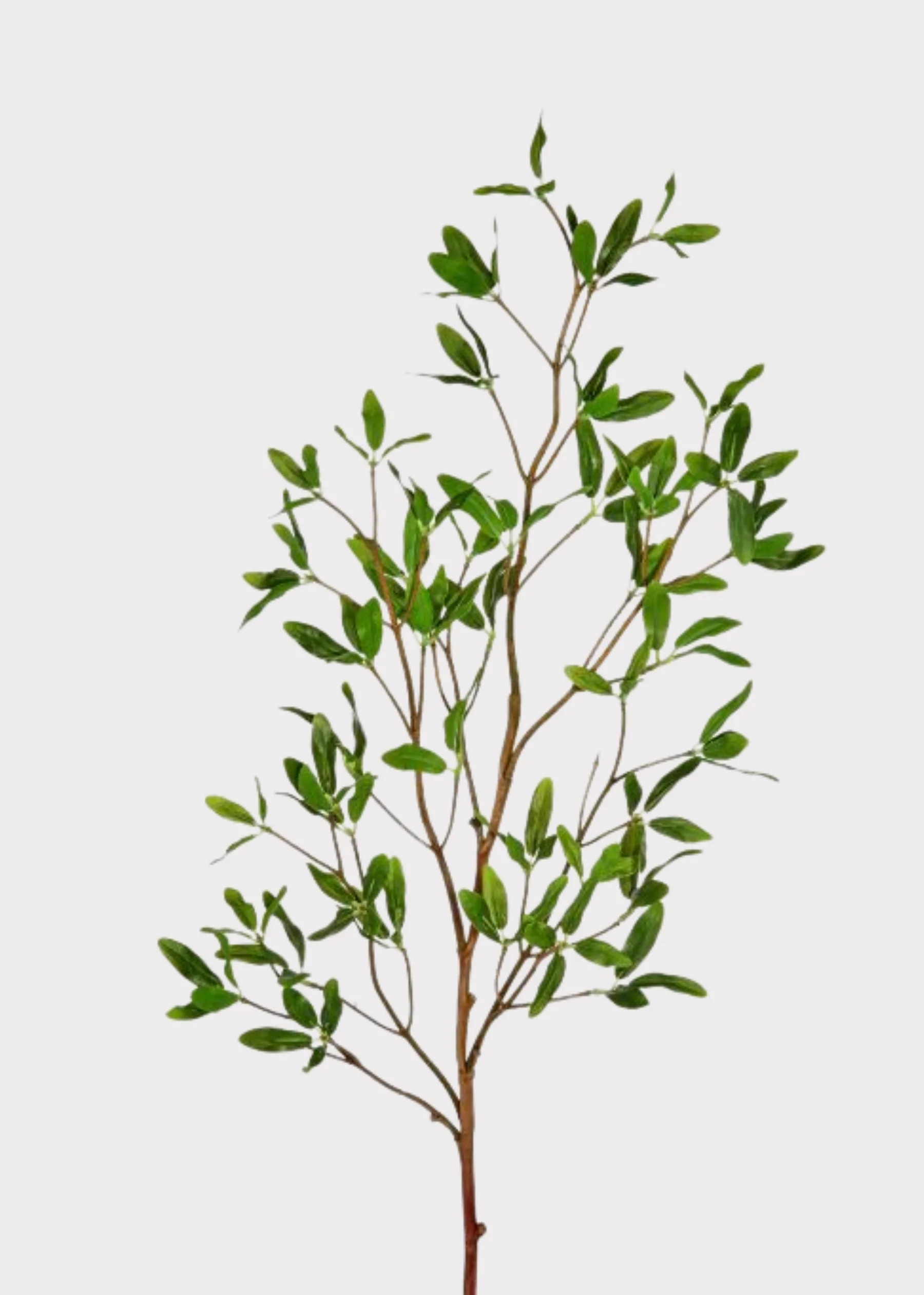 Artificial Asian Privet Leaf Branch - 33" | Afloral