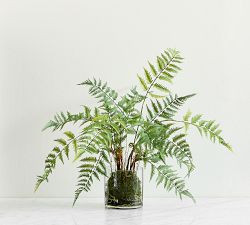 Faux Small Glass Composed Fern | Pottery Barn (US)