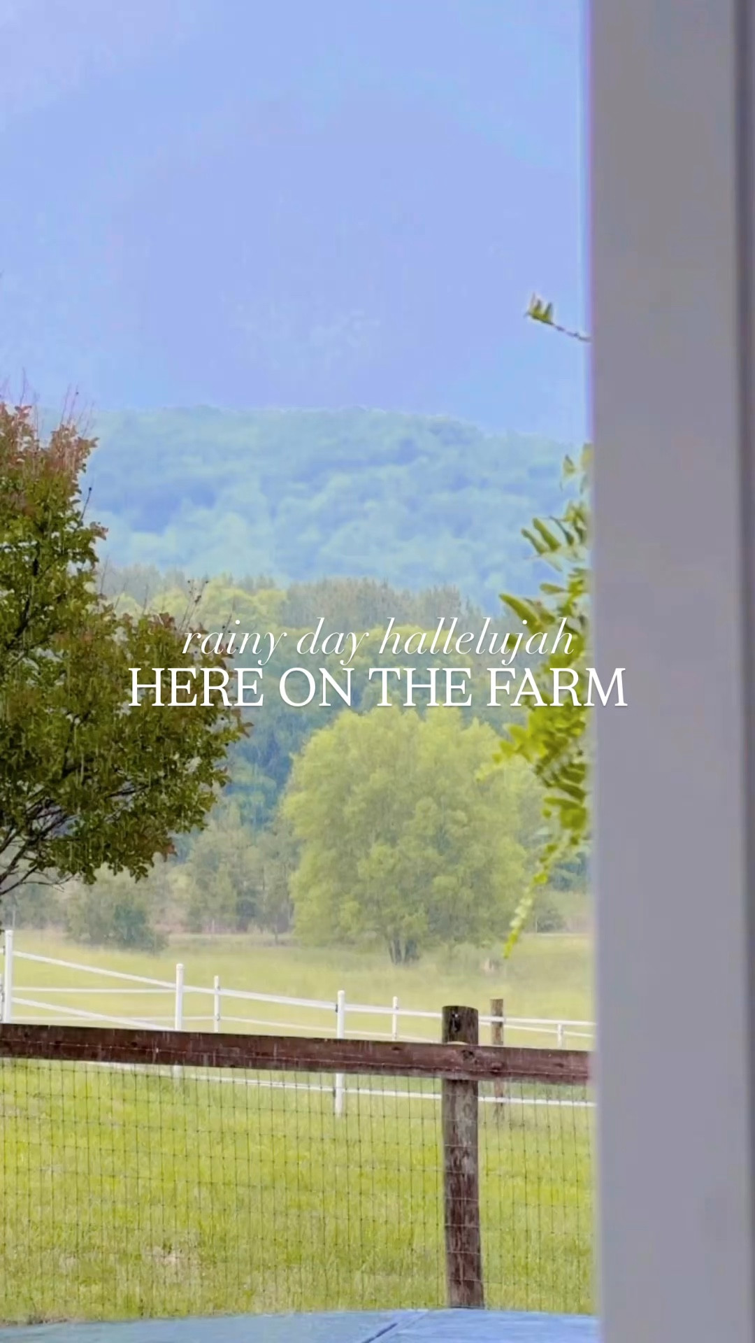 Rainy day hallelujah here on the farm ☔️🌧️