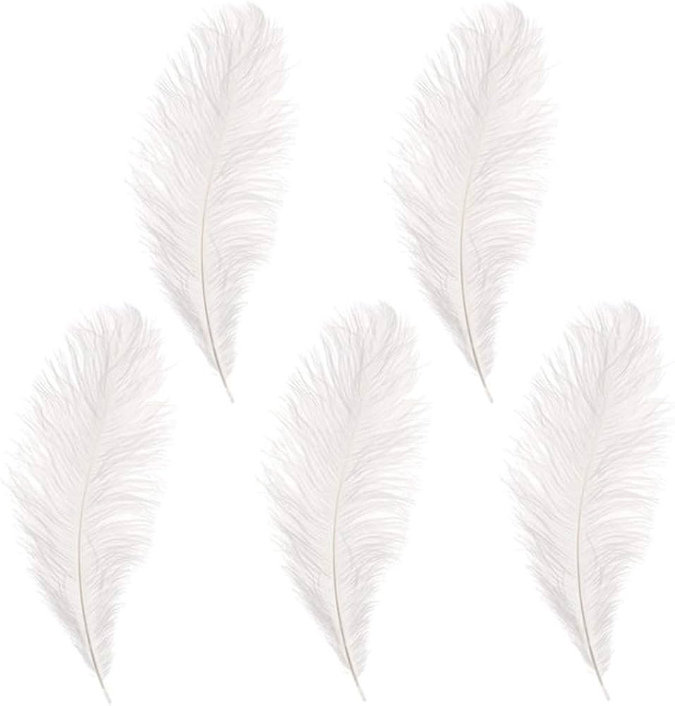 Rgontar 10-12 inches Ostrich Feather Real Natural Feather for Home Decor Party Wedding Decoration... | Amazon (US)