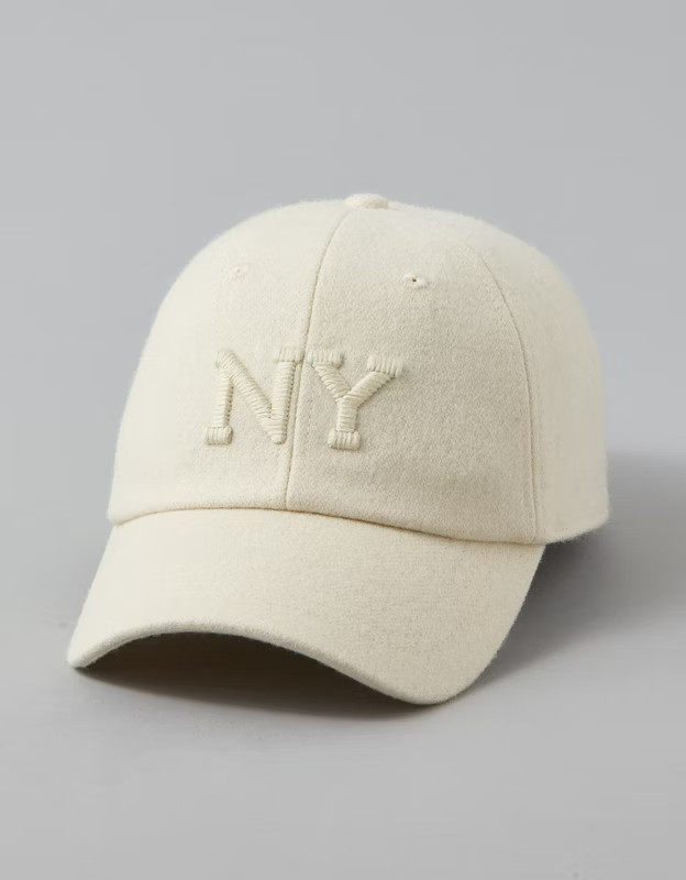 AE Tweed NY Baseball Hat | American Eagle Outfitters (US & CA)