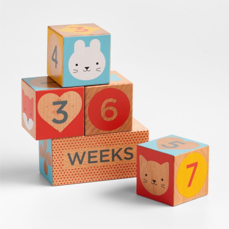 Wooden Milestone Baby Blocks + Reviews | Crate & Kids | Crate & Barrel