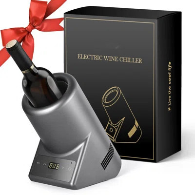 Wine Chiller Electric, Portable Wine Bottle Chiller For 750Ml Wine & Champagne, Single Bottle Wine Cooler On Patio, Keep Cold Up To 1 Day - Extra Surp | Wayfair North America