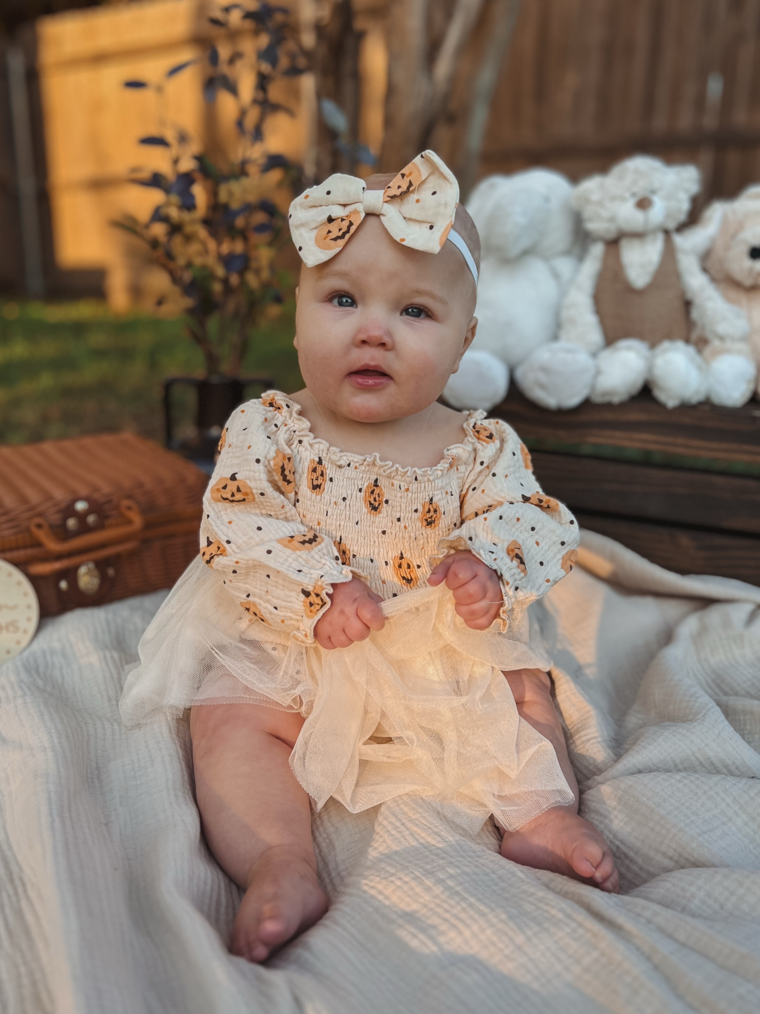 Baby girl outfit - fall outfit - baby milestone - pumpkin patch - baby girl dress - baby dress - girls dress - baby girl - outfit ideas - fall dress - Amazon dress - pumpkin dress - 7 months - aesthetic outfit 

#LTKBaby #LTKSeasonal #LTKHalloween