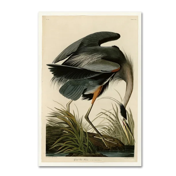 Trademark Fine Art 'Great Blue Heron' Canvas Art by John James Audobon | Walmart (US)