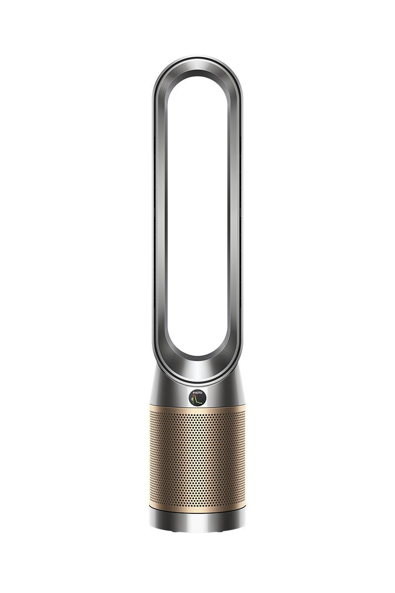 Purifier Cool PC2 De-NOx (Nickel/Gold) | Dyson | Dyson (US)